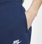 Штаны мужские Nike M Nsw Club Pant Cf Bb Blue BV2737-410