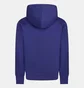 Спортивный костюм детский Air Jordan Mj Flight Mvp Violet 95C721-PA5__95C503-PA5