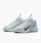 Кросівки чоловічі Nike G.T. Jump Academy Grey FV5524-002