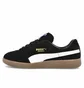 Кроссовки мужские Puma Handball Black 106695-02