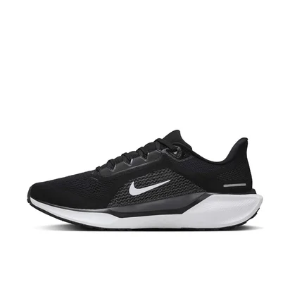 Кросівки чоловічі Nike Pegasus 41 Black FD2722-002