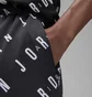 Шорти чоловічі Air Jordan Essentials Allover Print Poolside Swim Shorts Black DX9673-010