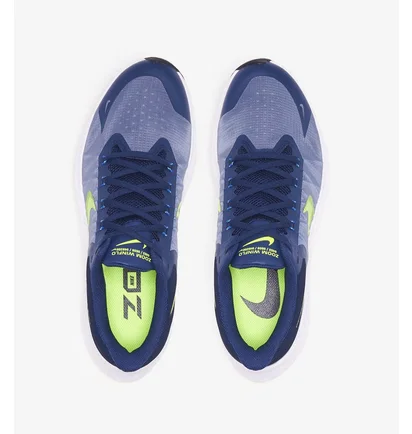 Кроссовки мужские Nike Air Zoom Winflo 8 Blue CW3419-401