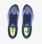Кроссовки мужские Nike Air Zoom Winflo 8 Blue CW3419-401