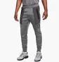 Штани чоловічі Nike Nsw Air Max Pk Jogger Grey FV5445-068