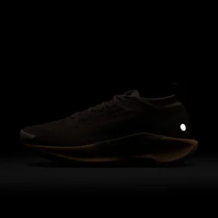 Кросівки унісекс Nike Pegasus Trail 5 Gtx Brown FQ0912-200