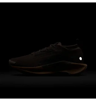 Кроссовки унисекс Nike Pegasus Trail 5 Gtx Brown FQ0912-200