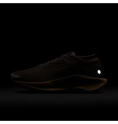 Кросівки унісекс Nike Pegasus Trail 5 Gtx Brown FQ0912-200