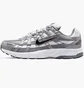 Кросівки чоловічі Nike P-6000 Grey/Metallic IR2004-100