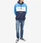 Худи мужское Tommy Jeans Archive Hoody Blue/Light Blue DM0DM14200-C87