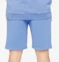 Шорты мужские The North Face Heritage Dye Pack Logowear Shorts Light Blue NF0A826MLV6
