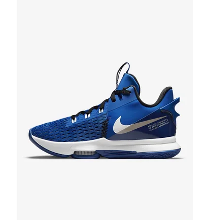 Кроссовки унисекс Nike LEBRON WITNESS V Blue CQ9380-400