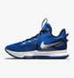 Кроссовки унисекс Nike LEBRON WITNESS V Blue CQ9380-400