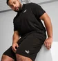 Шорты мужские Puma Essential Logo Black 682600-01