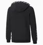 Толстовка детская Puma Power Black 589306-01
