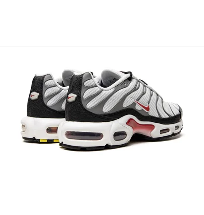 Кросівки чоловічі Nike Air Max Plus White/Grey DM0032-002
