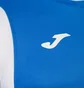 Футболка мужская Joma Dinamo Blue 100446.700