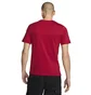 Футболка мужская Air Jordan Game 5 Red DH8948-687