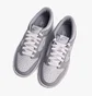 Кроссовки детские Nike Dunk Low Two-Toned Grey Dh9765-001