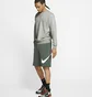 Світшот чоловічий Nike Sportswear Club Grey BV2666-063