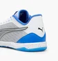 Футзалки унисекс Puma Ibero Iv White 107958-01