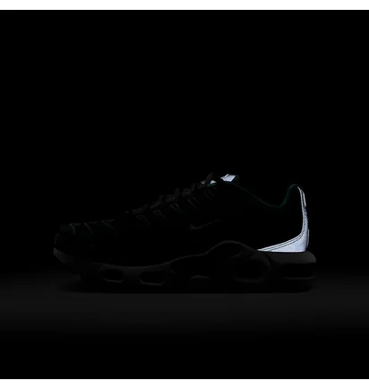 Кроссовки мужские Nike Air Max Plus Older Kids Shoes Black HF0094-001