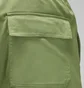 Штани чоловічі Air Jordan Essentials Chicago Pants Green FB7305-340