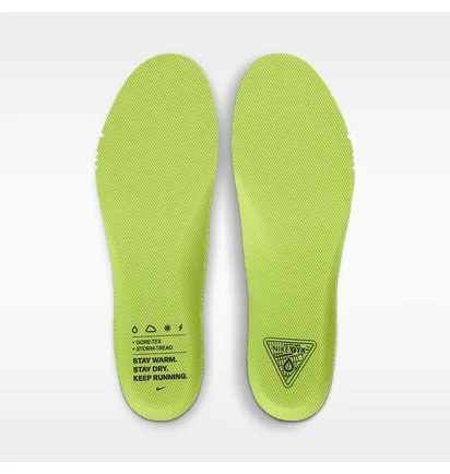 Кросівки жіночі Nike Pegasus 41 Gore Tex Green FQ1357-300