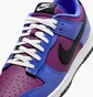 Кроссовки мужские Nike Dunk Low Retro Se Blue/Violet IB6400-400