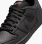 Кросівки чоловічі Nike Dunk Low Pro Sb Black FJ1674-001