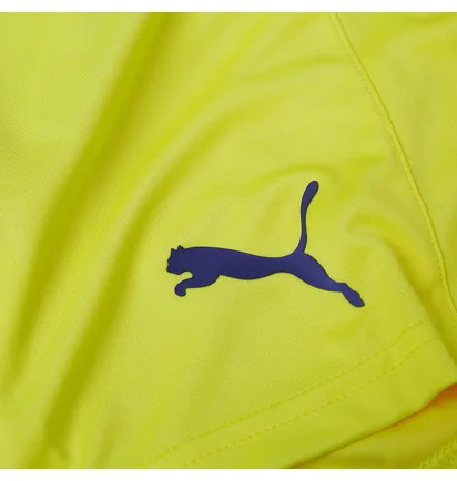 Шорты мужские Puma King Yellow 701701-37