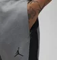 Штани чоловічі Air Jordan Dri-Fit Sport Air Grey Dq7320-091