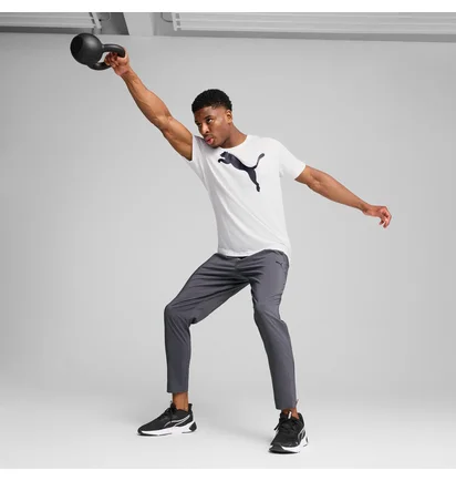 Штаны мужские Puma Tad Essentials Grey 525916-69