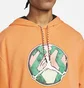 Худи мужское Air Jordan Sport DNA Hoodie Orange CZ4835-858