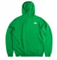 Худі чоловіче The North Face Berkeley California Hoodie Green NF0A55GFPO8