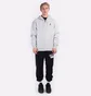 Толстовка чоловіча Air Jordan Jumpman Fleece Full-Zip Grey DC9606-097