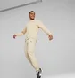 Світшот чоловічий Puma Rad/Cal Beige 673317-88