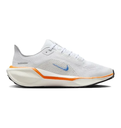 Кроссовки детские Nike Pegasus 41 Blueprint White HM4820-100