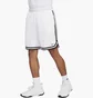 Шорты мужские Nike Dri-Fit Dna White FN2651-100
