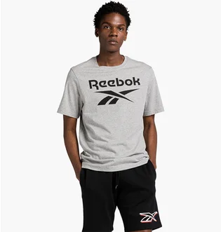 Футболка мужская Reebok Identity Big Stacked Logo T-Shirt Grey 100071173