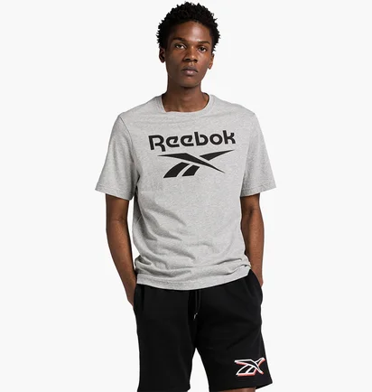 Футболка мужская Reebok Identity Big Stacked Logo T-Shirt Grey 100071173