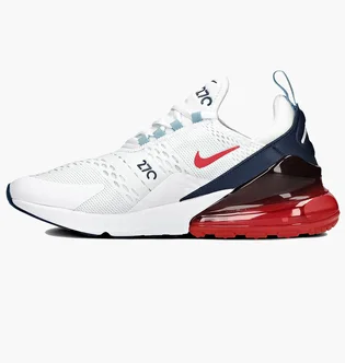 Кросівки чоловічі Nike Air Max 270 White DJ5172-100