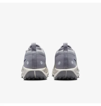 Кроссовки мужские Nike Pegasus Trail 5 Gtx Grey FQ0908-006