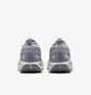 Кроссовки мужские Nike Pegasus Trail 5 Gtx Grey FQ0908-006