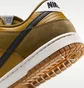 Кросівки чоловічі Nike Dunk Olive/Brown IB6399-300