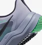 Кроссовки мужские Nike Downshifter 12 Grey DD9293-500
