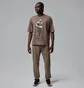 Штаны мужские Air Jordan Sport Crossover Brown FV8608-040