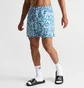 Шорты мужские Air Jordan Essentials Allover Print Poolside Shorts Light Blue FN4635-423