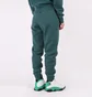 Штаны женские Air Jordan Flight Womens Fleece Pants Dark Green CV7795-300