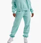 Штаны женские Air Jordan Brooklyn Fleece Pants Light Blue FV7077-368